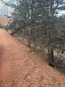 418 Valley Rd, Divide, CO, 80814