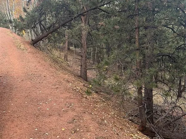 418 Valley Rd, Divide, CO 80814