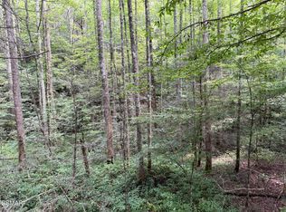 Bryant Hollow Way, Sevierville, TN 37876