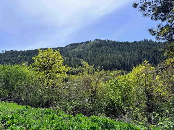 1620 & 0 Forsman St, Orofino, ID 83544