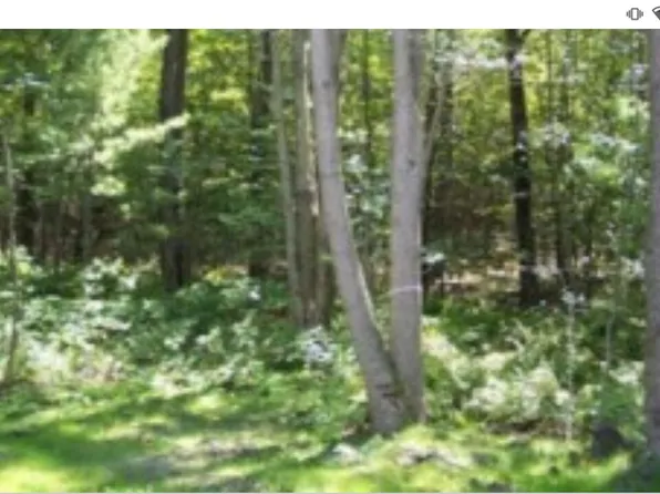0 N Darling Ln, Fennville, MI 49408