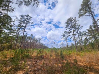 LOT 56 SW Paradise Way, Greenville, FL, 32331