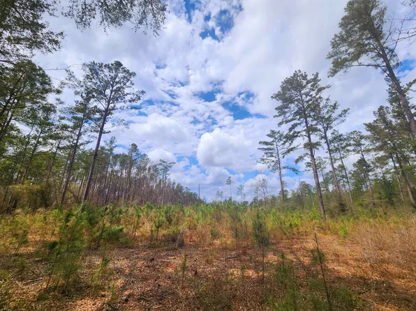 LOT 56 SW Paradise Way, Greenville, FL 32331