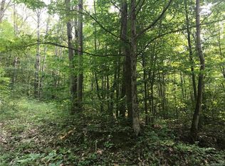 5854 Plum Brook Rd, Great Valley, NY 14741