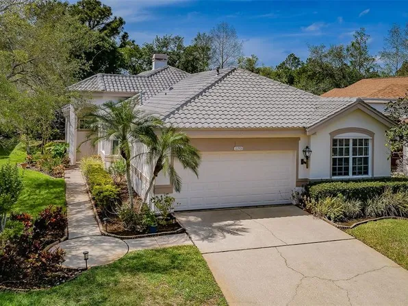 12203 Glencliff Cir, Tampa, FL 33626