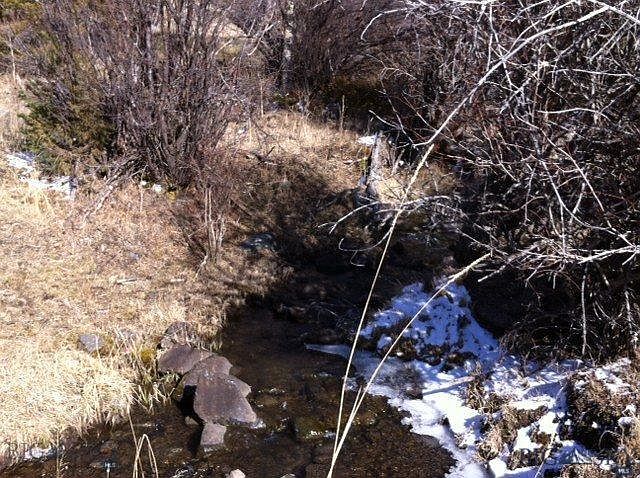 1st image of Alder Gulch