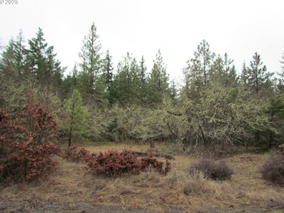 55 Bertha N Orchard Rd, Lyle, WA, 98635