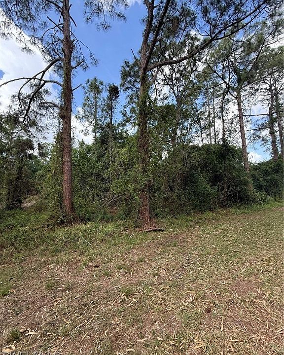 1st image of 170 E Marimba Cir