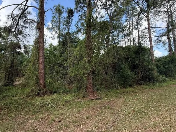 170 E Marimba Cir, Clewiston, FL 33440