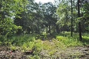 10955 Daw Collins Rd — Photo 4