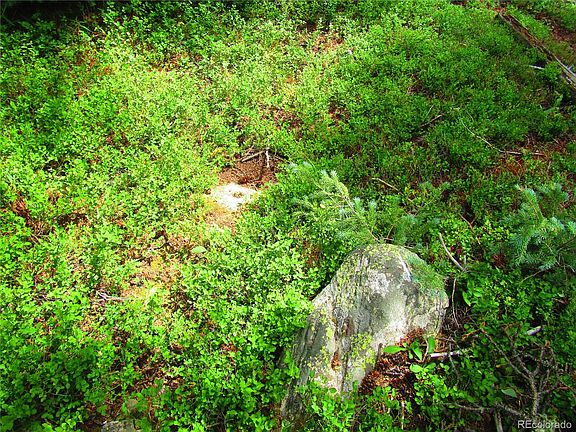 4th image of LOT 6615 Forbes Road