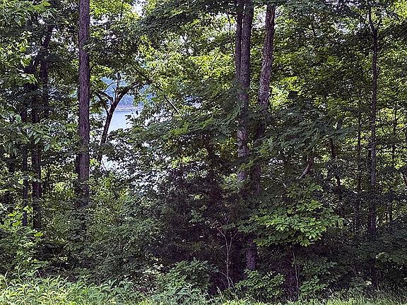 2nd image of LOT 47 Cumberland Xing