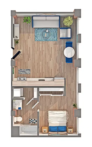 Floor plan 1 BR x 1 BA - B