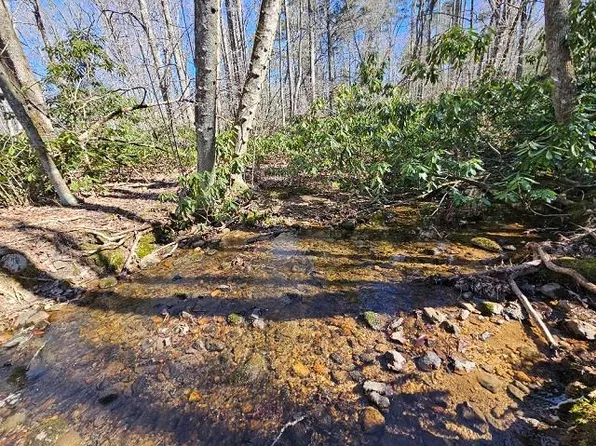 555 Evergreen Trl, Fancy Gap, VA 24328