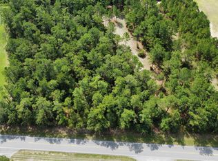 TBD Highway 905, Conway, SC 29526