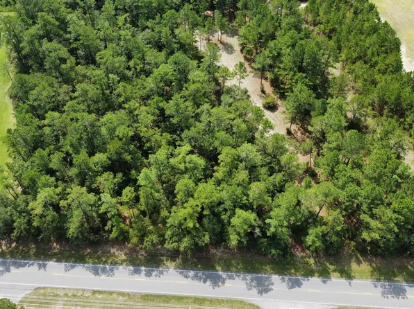 TBD Highway 905, Conway, SC 29526