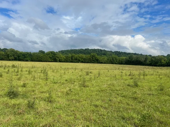 960 Brothers Rd Tract 2, Bell Buckle, TN 37020