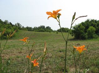 1650 E Fork Rd, Greeneville, TN 37743