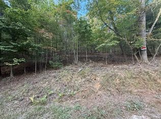 4AC Old Mill Rd, Mineral Bluff, GA 30559