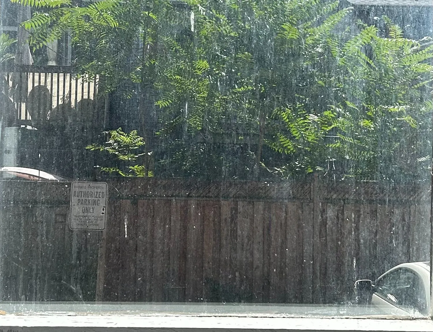 1 bed, $949 — Photo 2