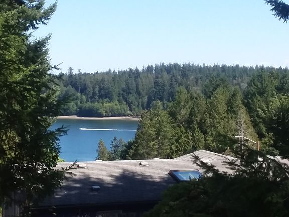 Back Yard View of Water