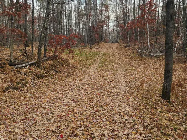 W9856 Moonshine Hill Rd, Crivitz, WI 54114