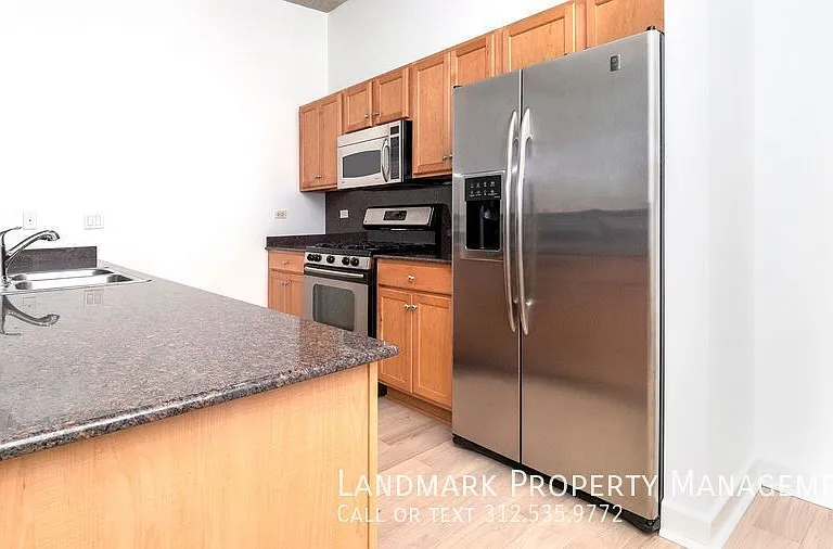 1305 S Michigan Ave #511 — Photo 2
