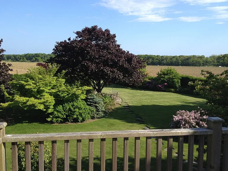 869 Head Of Pond Rd — Photo 13
