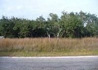 1st image of 105 S Sierra Woods Dr