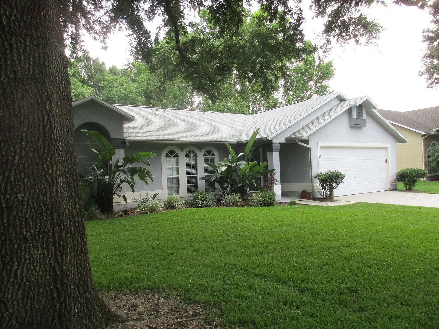 Hills of Lake Mary — Photo 2