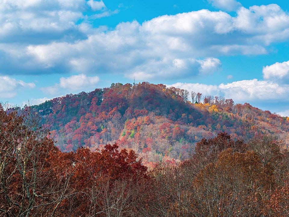 118 Lakota Ln, Mineral Bluff, GA 30559 Zillow