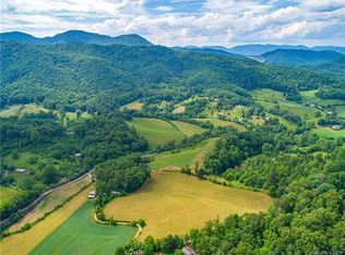 9999 Homefire Cove Rd, Leicester, NC 28748