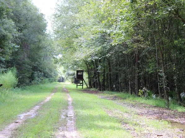 Summers Dr, Ridgeville, SC 29472