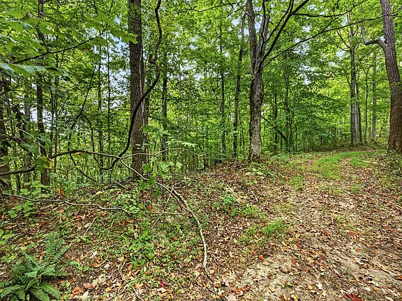 5th image of 0 Timber Ridge Ln Lot 30