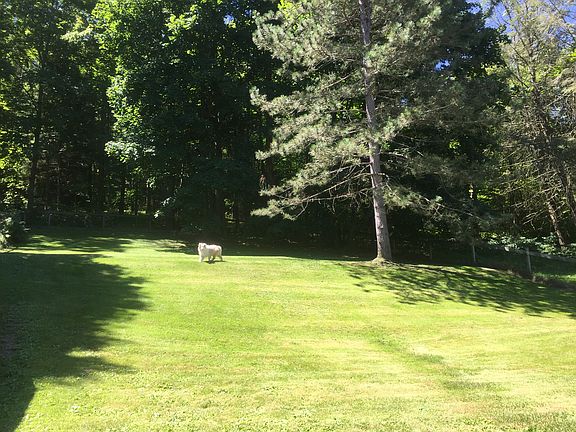 Fenced in back yard.