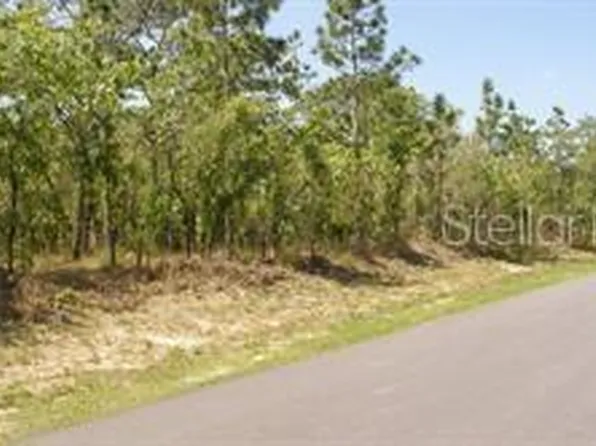 0 Petrel Ave Lot 5, Brooksville, FL 34614