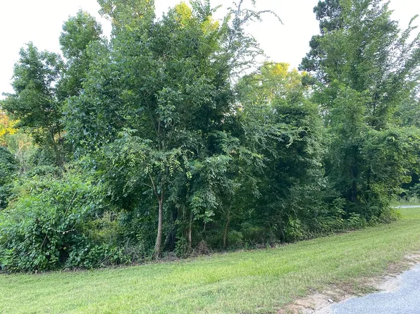 1 White Oak Cir, Pointblank, TX 77364