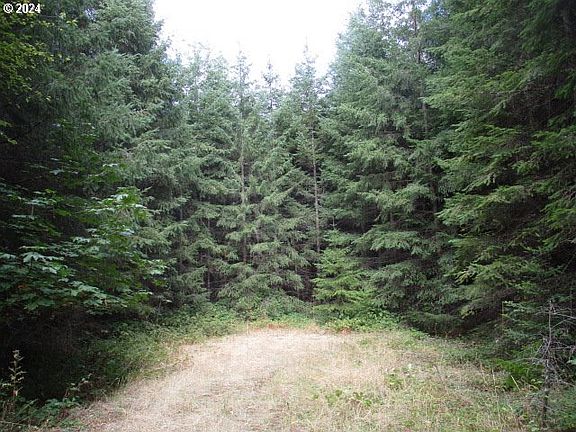 5th image of 0 Bellinger Scale Rd