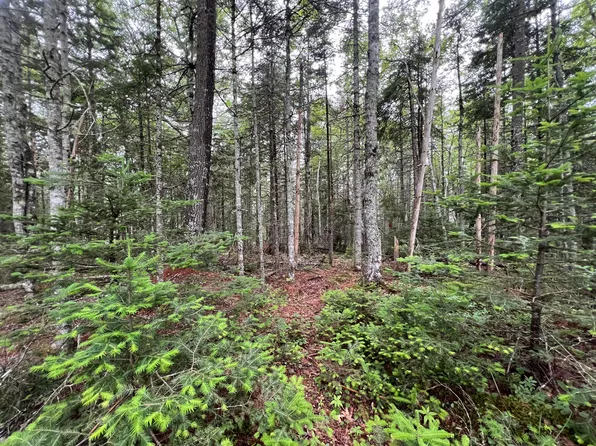 Lot 3 Bluff Road, Bar Harbor, ME 04609
