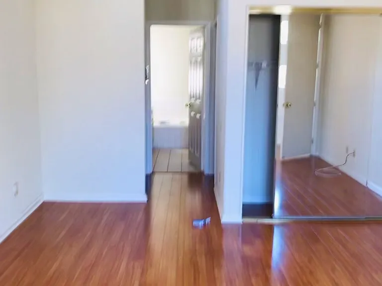 Master Bedroom - 2nd Mirror Closet