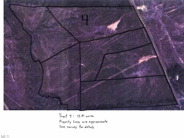 4 Ed Alston Rd #4, Warrenton, NC 27589