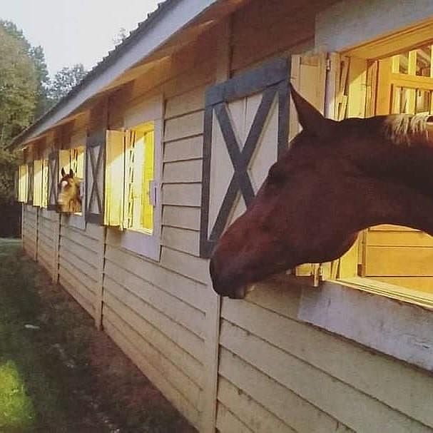 2230 Henry Scott Rd, Ball Ground, GA 30107 MLS 7192886 Zillow