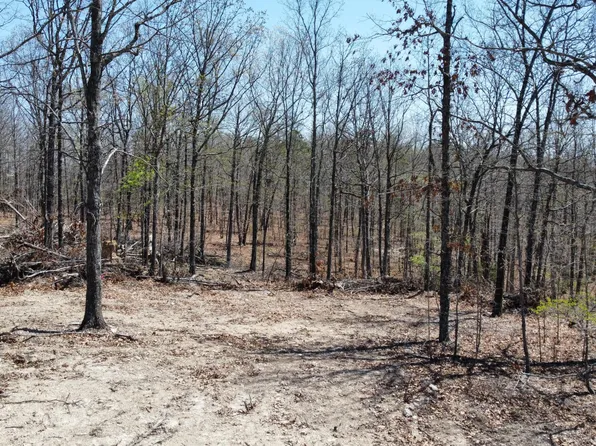 000 Highway C Tract 2, Van Buren, MO 63965