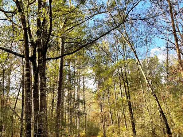 71 Acres 0 Jack Springs Road, Perdido, AL 36562