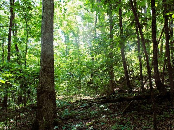 Gum Springs Rd, Parthenon, AR 72666