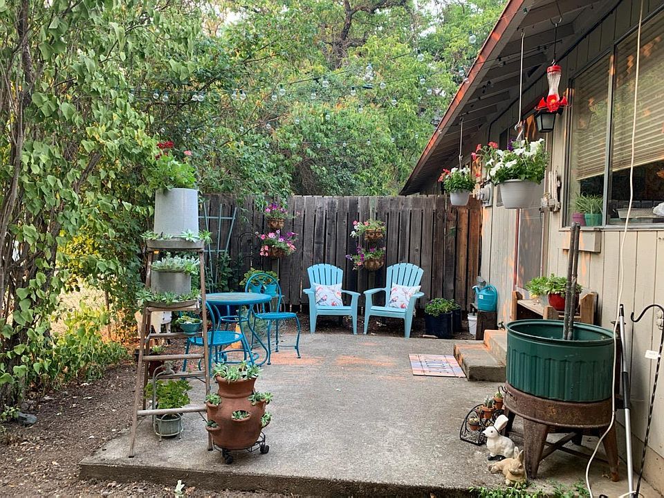 Backyard with 20 foot lilacs