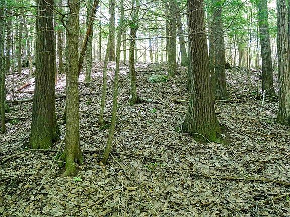 3rd image of Aprx .757 Acres SALEM LAKE ROAD