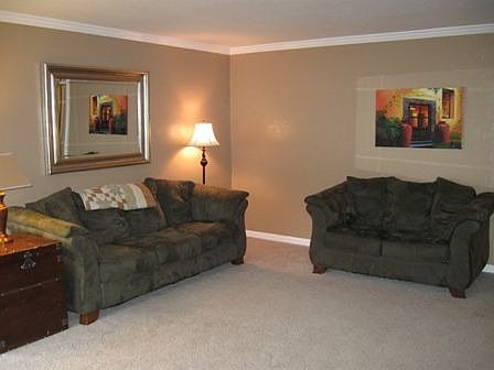 4th image of 435 Plum Dr