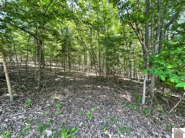 49 Malcolms Point Rd, Cadiz, KY 42211