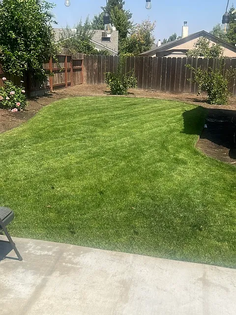 3 bed, 1342 sqft, $2,300 — Photo 3